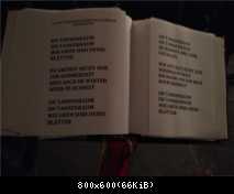 03.12.2013 Florinskirche, Рождественский концерт