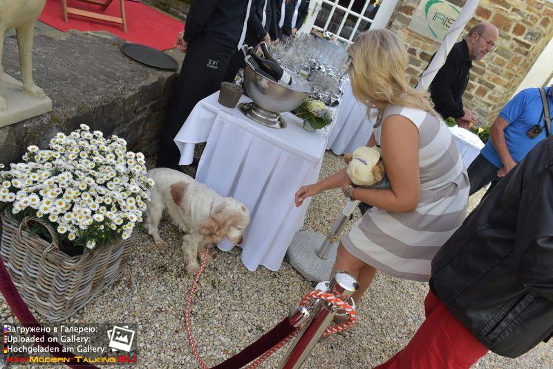 06.10.2014 Открытие HOME & DOGS