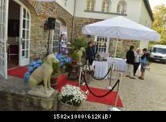 06.10.2014 Открытие HOME & DOGS