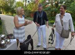 06.10.2014 Открытие HOME & DOGS