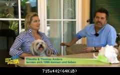 07.11.2015 Thomas Anders "Der V.I.P. Hundeprofi"