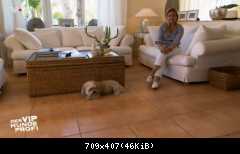 07.11.2015 Thomas Anders "Der V.I.P. Hundeprofi"