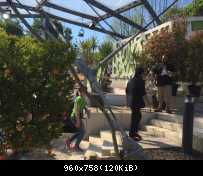 08.05 2016 Thomas Anders ZDF-Fernsehgarten Mainz