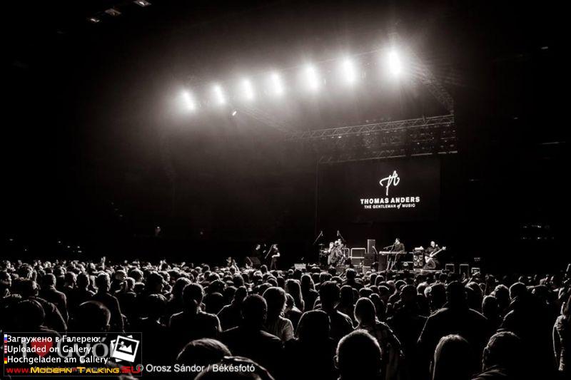 09.01.2015 Томас Андерс- Audi Arena Дьёр