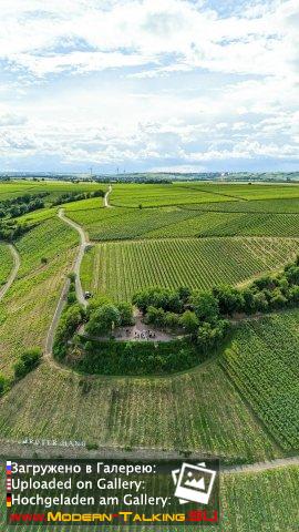 10.06.2026 Thomas Anders St Antony Weingut Нирштайн, Германия