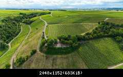 10.06.2026 Thomas Anders St Antony Weingut Нирштайн, Германия