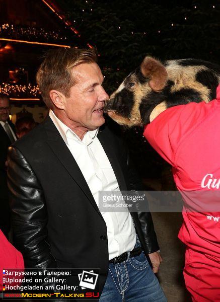 10.11.2015 Dieter Bohlen opening Gut Aiderbichl Christmas Market