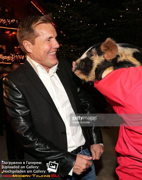 10.11.2015 Dieter Bohlen opening Gut Aiderbichl Christmas Market