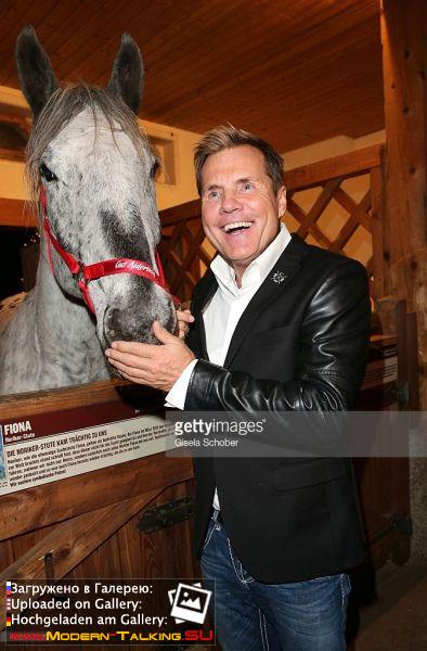 10.11.2015 Dieter Bohlen opening Gut Aiderbichl Christmas Market