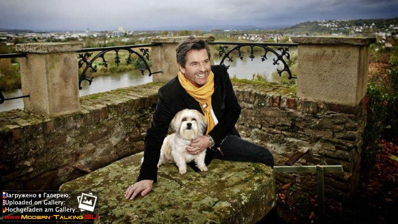 11.11.2013 Томас Андерс фотосессия к книге 2014 года с собакой Саммером