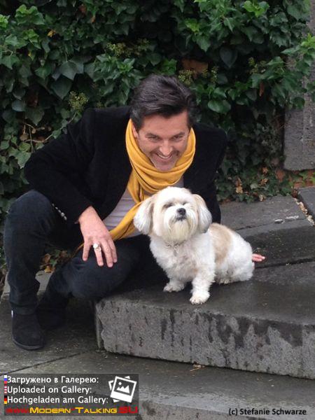 фотосессия к книге 2014 года с собакой Саммером