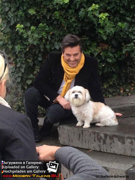 фотосессия к книге 2014 года с собакой Саммером