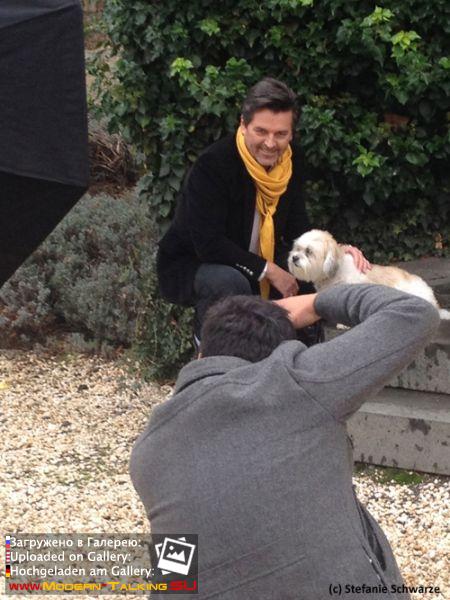 фотосессия к книге 2014 года с собакой Саммером