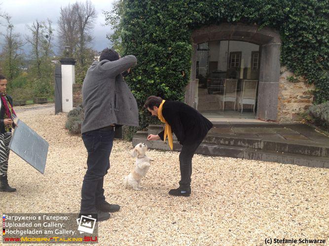 фотосессия к книге 2014 года с собакой Саммером