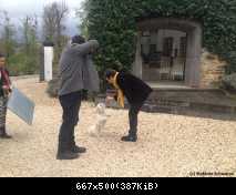 фотосессия к книге 2014 года с собакой Саммером