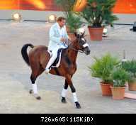 17.06.2011 Dieter Bohlen TV show 'Wetten Dass...' German