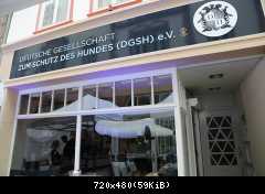 2014 Томас и Клаудия на открытие DGSH офиса