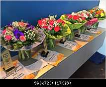 22.01.2016 Thomas Anders, Церемония награждения Goldene Summi 2015