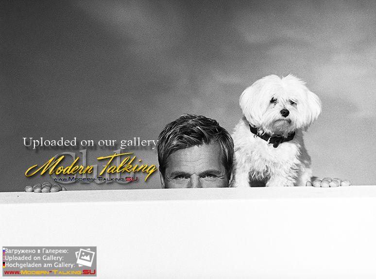 Dieter Bohlen разные фотосессии