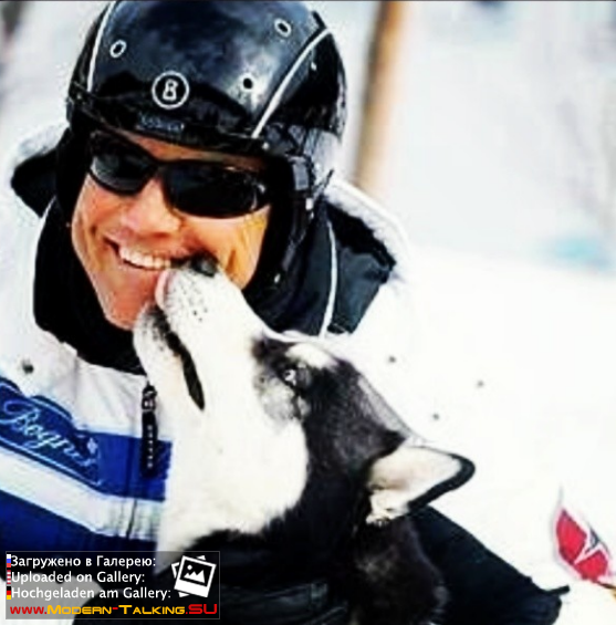 Dieter Bohlen современное и разное