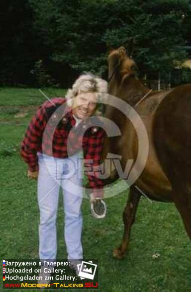 Дитер Болен 90-е