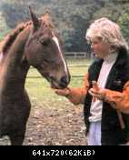 Дитер Болен 90-е