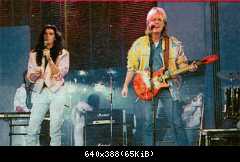 Modern Talking 80 (254)