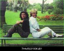 Modern Talking 80 (360)