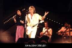 Modern Talking 80 (77)