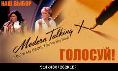 Голосование на сайте ZDF до 13.09.2013