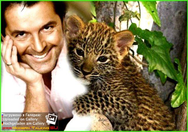 Приколы Modern Talking (1)