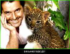 Приколы Modern Talking (1)