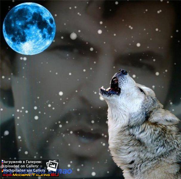 Приколы Modern Talking (104)