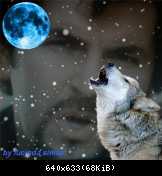 Приколы Modern Talking (104)