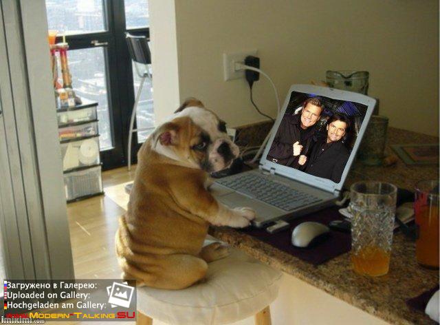 Приколы Modern Talking (112)