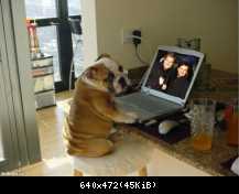 Приколы Modern Talking (112)