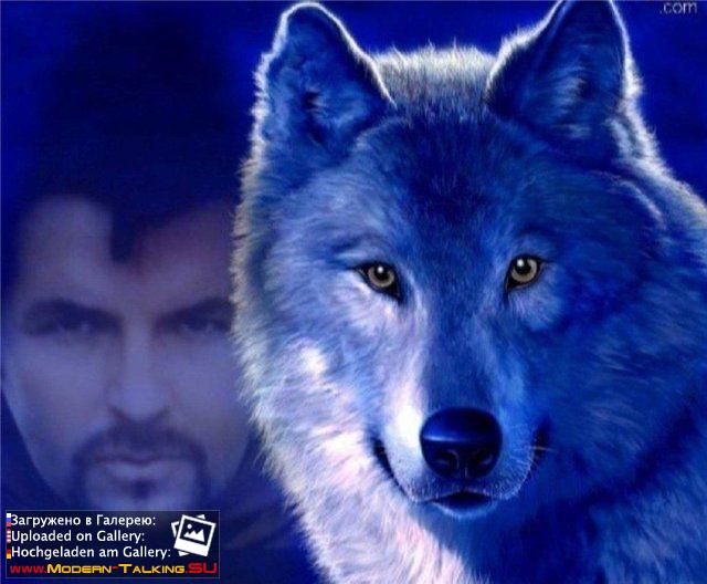 Приколы Modern Talking (114)