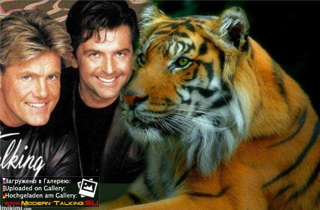Приколы Modern Talking (2)