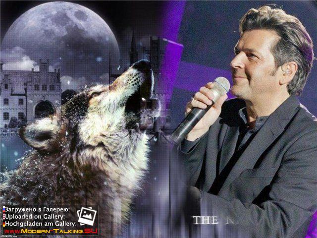 Приколы Modern Talking (26)