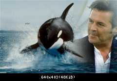 Приколы Modern Talking (45)