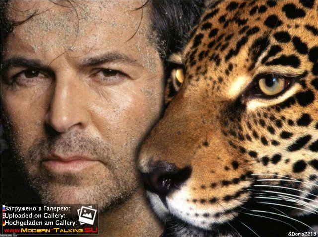 Приколы Modern Talking (47)