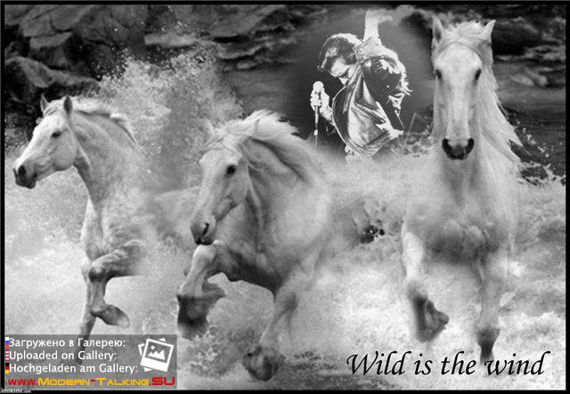 Приколы Modern Talking (63)