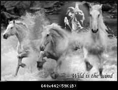 Приколы Modern Talking (63)