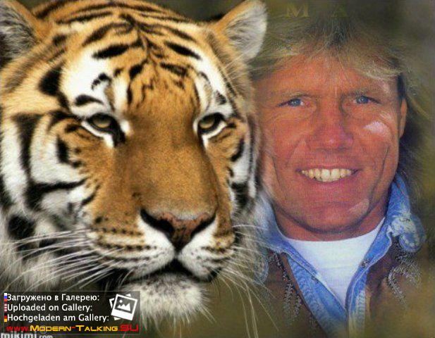 Приколы Modern Talking (78)