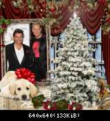 Приколы Modern Talking (87)