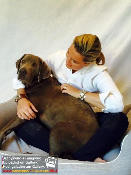 Клаудия HOME & DOGS Fotosession 2015