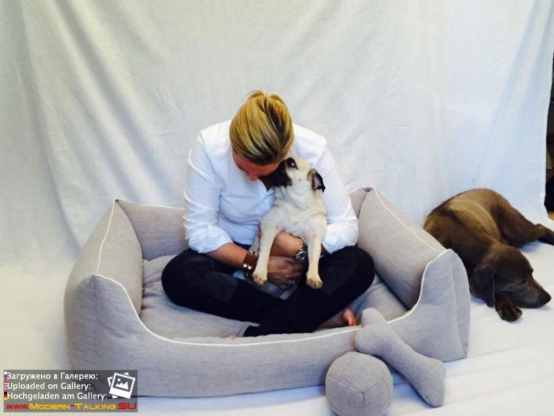 Клаудия HOME & DOGS Fotosession 2015