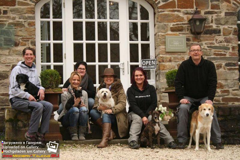 Клаудия HOME & DOGS