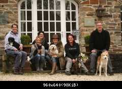 Клаудия HOME & DOGS