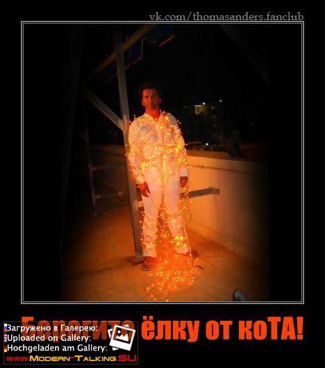 Берегите ёлку от коТА!